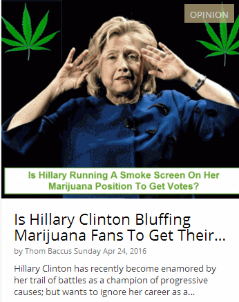 hillary clinton marijuana vote